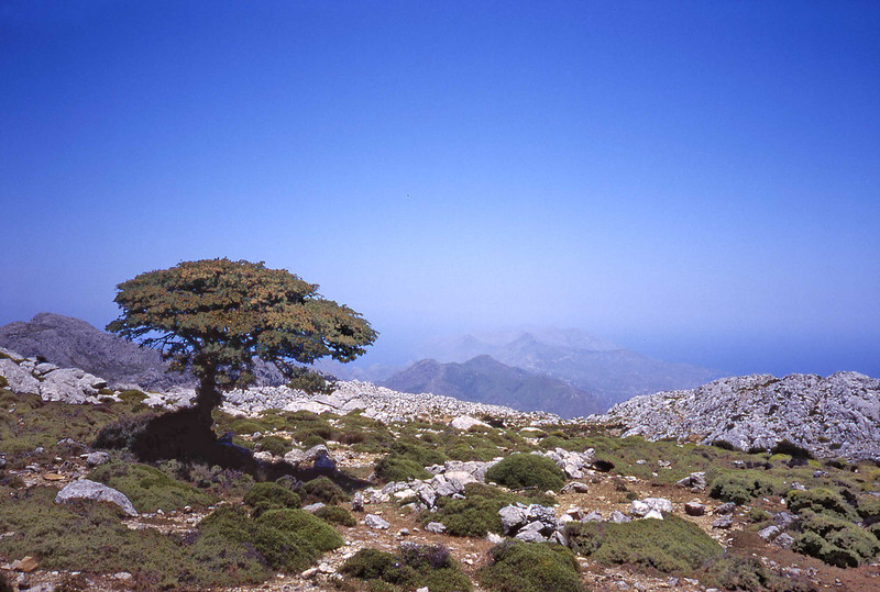De Kali Limni is de hoogste berg van Karpathos en vanaf de top van de berg heb je een geweldig uitzicht over het eiland. Je kunt zelfs het uiteinde van het eiland zien als het niet bewolkt is.