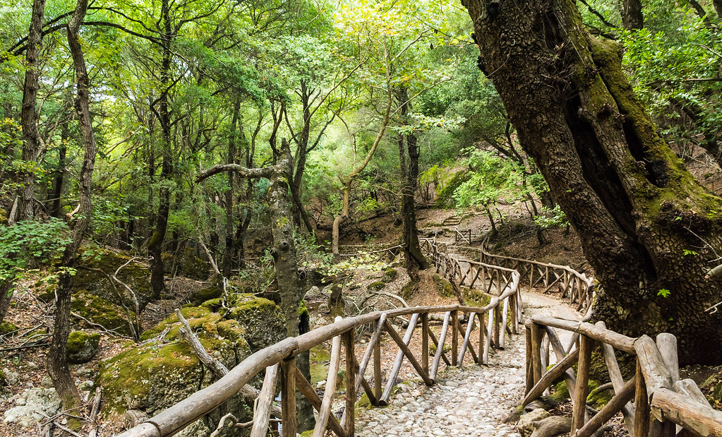 In Centraal Rhodos ligt de Vlindervallei, een prachtig natuurgebied, ook wel Petaloudes genoemd. Dit is een mooi bosrijk gebied met verschillende watervallen waar verschillende vlinders vertoeven.