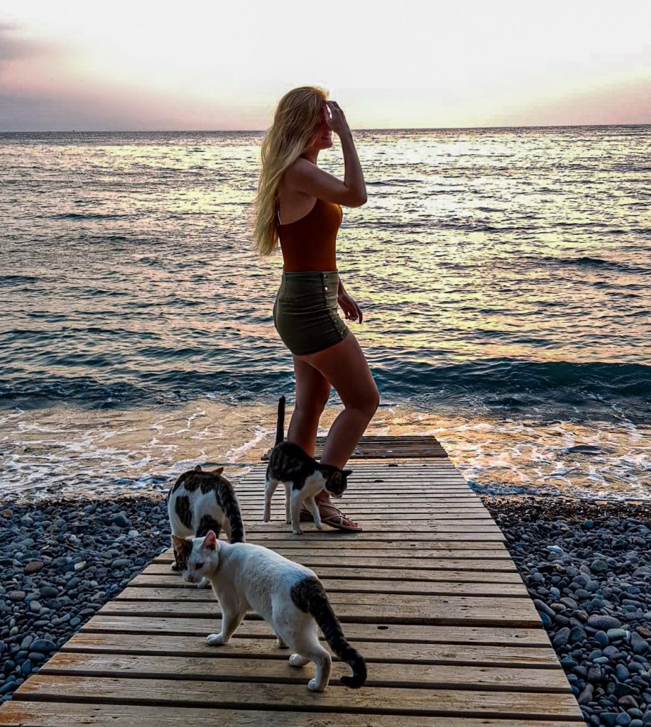 Katten bij het strand van Molyvos op Lesbos.
