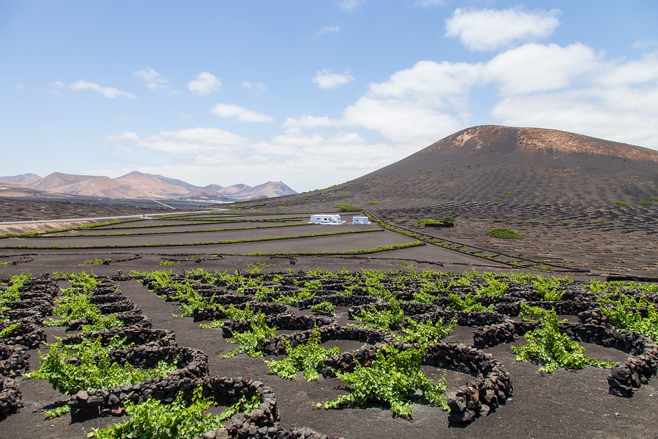 Het wijngebied La Geria op Lanzarote