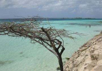 Aruba tips
