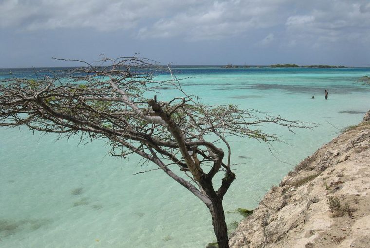 Aruba tips
