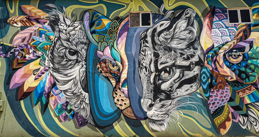 Bewonder de streetart bij San Nicolas op Aruba