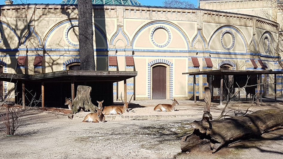 Zoologischer Garten Berlin