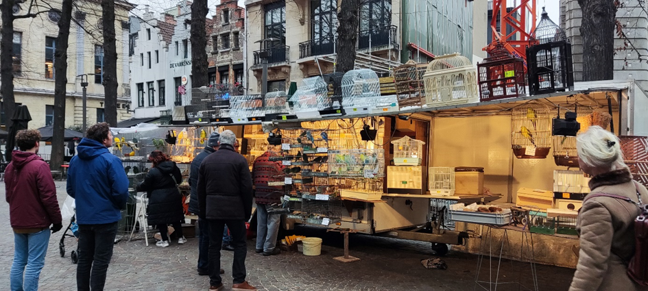 De Vogeltjesmarkt in Antwerpen