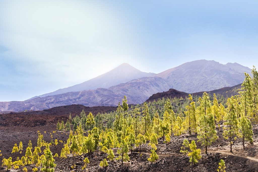 Bezoek de vulkaan El Teide op Tenerife